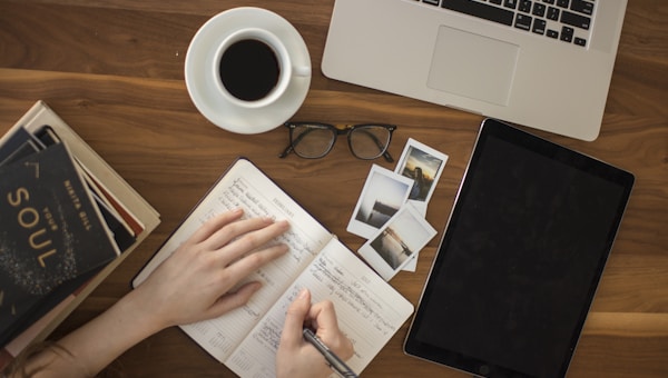 Guia Pratico Aprovacao Concurso 7 Meses